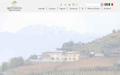 agricosimo.it