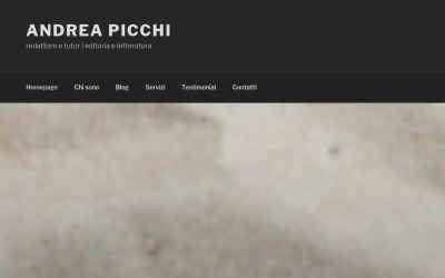 andreapicchi.info