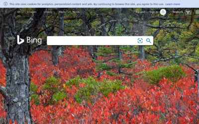 bing.it