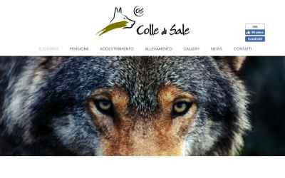 colledisale.com