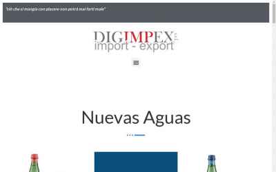 digimpex.com.ar