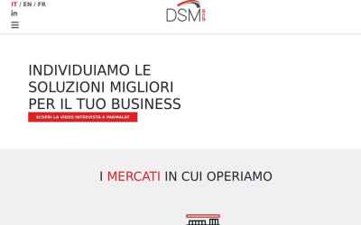 dsmgroup.eu