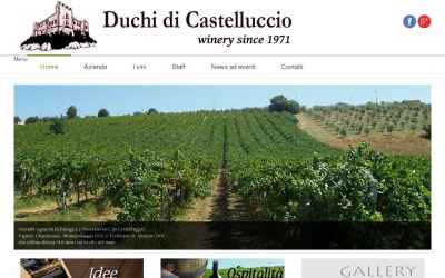 duchidicastelluccio.it