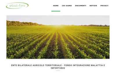ebatfimicosenza.it