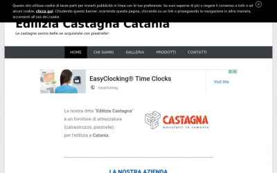 ediliziacastagna.altervista.org