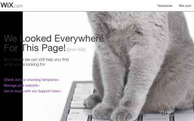forexpink7.wixsite.com