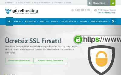 guzelhosting.com
