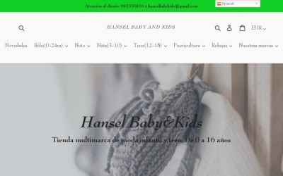 hanselbabyandkids.com