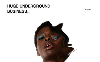 hugeundergroundbusiness.com