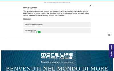 morelifeenergy.it