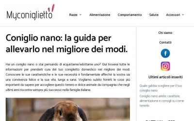 myconiglietto.it