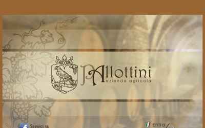 pallottini.com