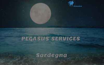 pegasus4services.it