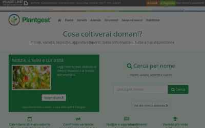 plantgest.imagelinenetwork.com