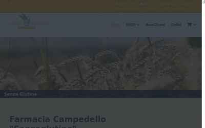 senzaglutine.farmaciacampedello.it
