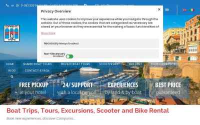 sorrentotrips.com