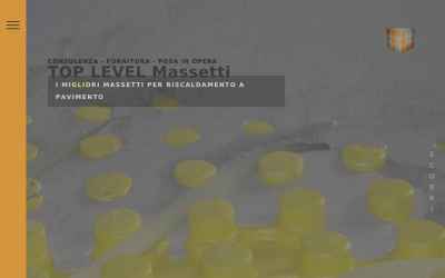 toplevel-massetti.info