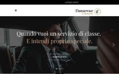 transervicelimousine.com