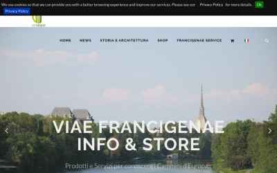 viaefrancigenae.com