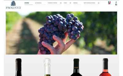 vinipaolucci.it