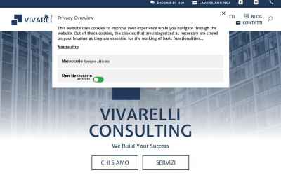 vivarelliconsulting.com