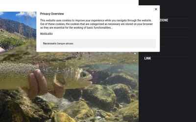 walkwadeflyfishing.com