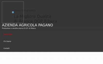 arance-dop-ribera.aziendaagricolapagano.it