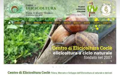 cocle.it