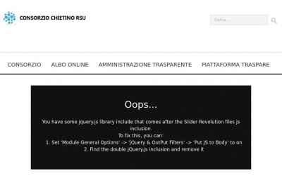 consorziochietinorsu.it.