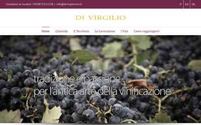 divirgiliovini.it