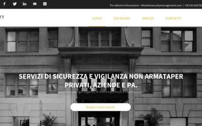 dmsecuritymanagement.com