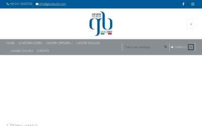 gbcinturini.com