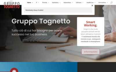 gruppotognetto.it