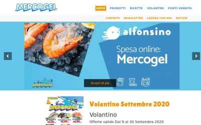 mercogel.it