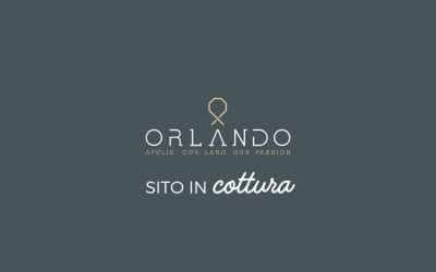 orlandopuglia.it