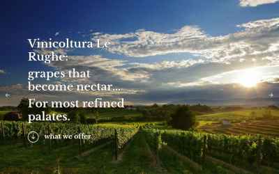 proseccolerughe.eu