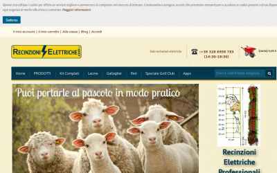 recinzionielettriche.com