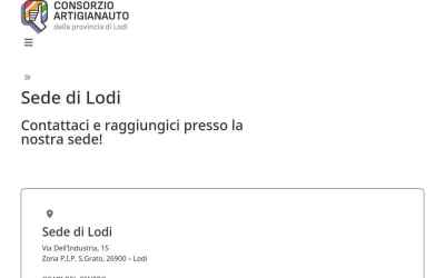 revisionilodi.it