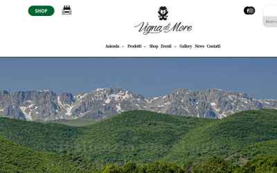 vignadimore.it